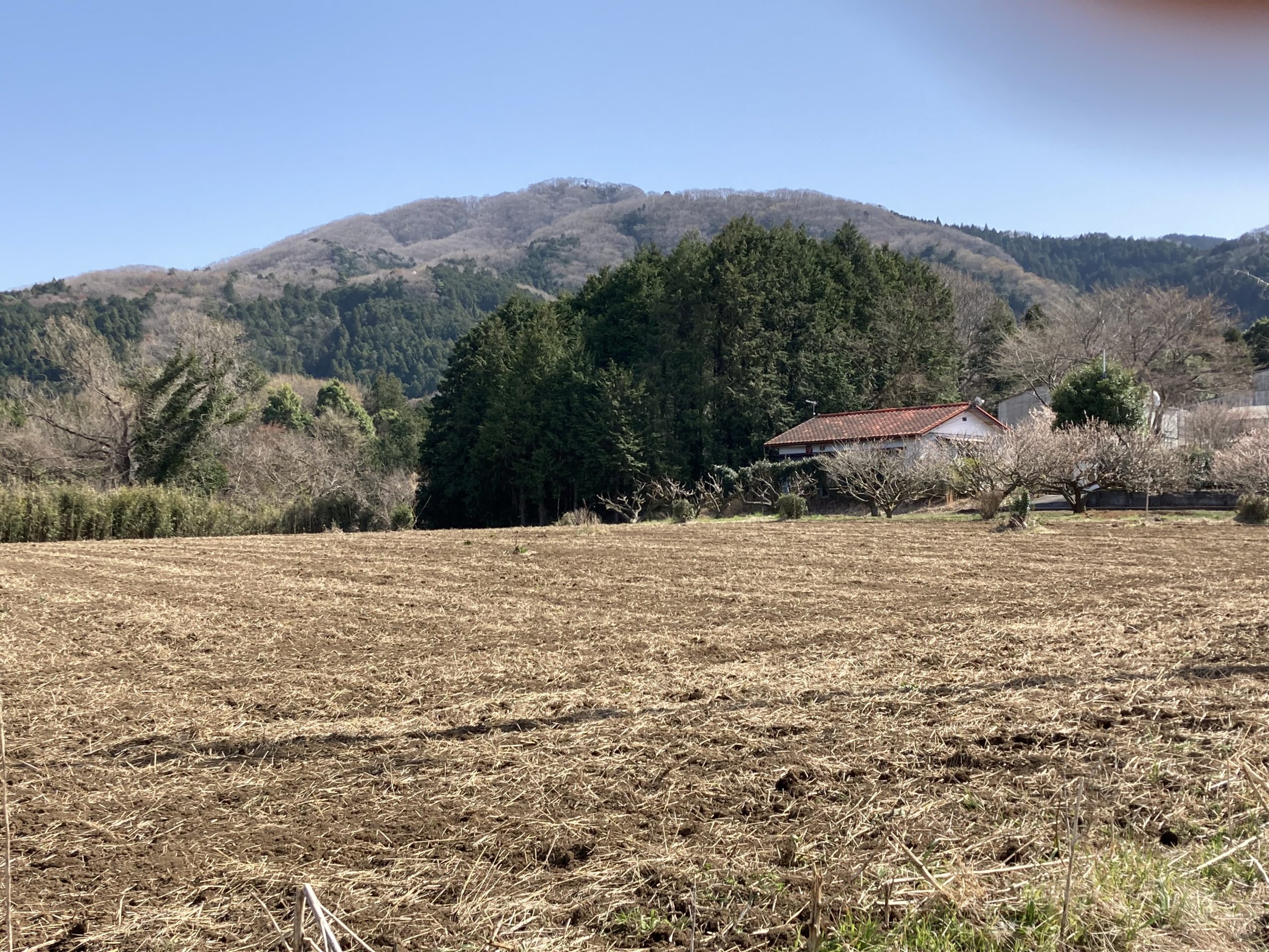 吾国山を遠望する