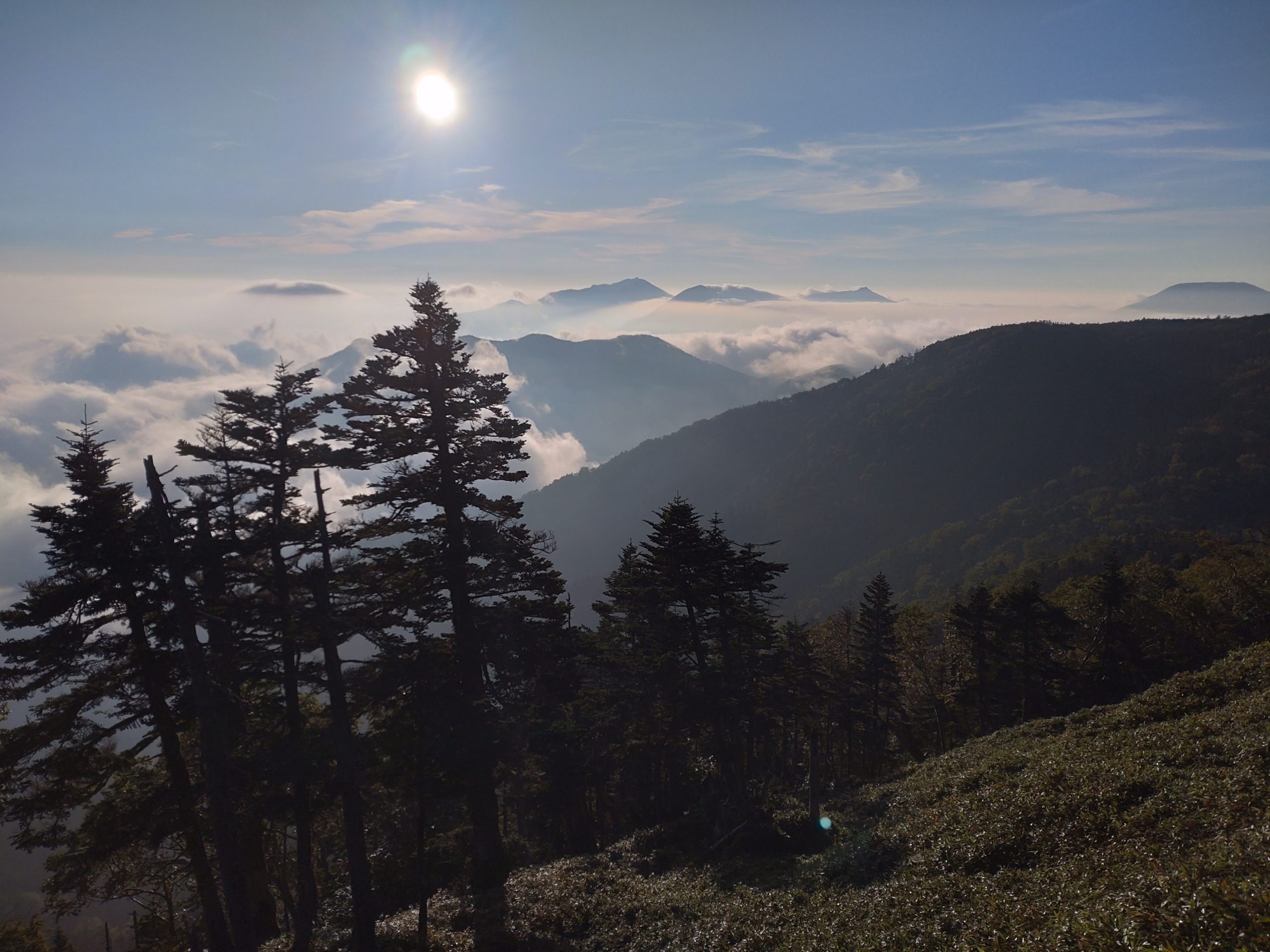 根名草山から日光連山